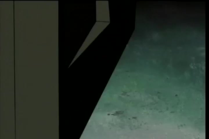 [Tsukyio Editing Resources] Hellsing (Episode 12) Raw Clips (128) (tsukyio.com).mp4